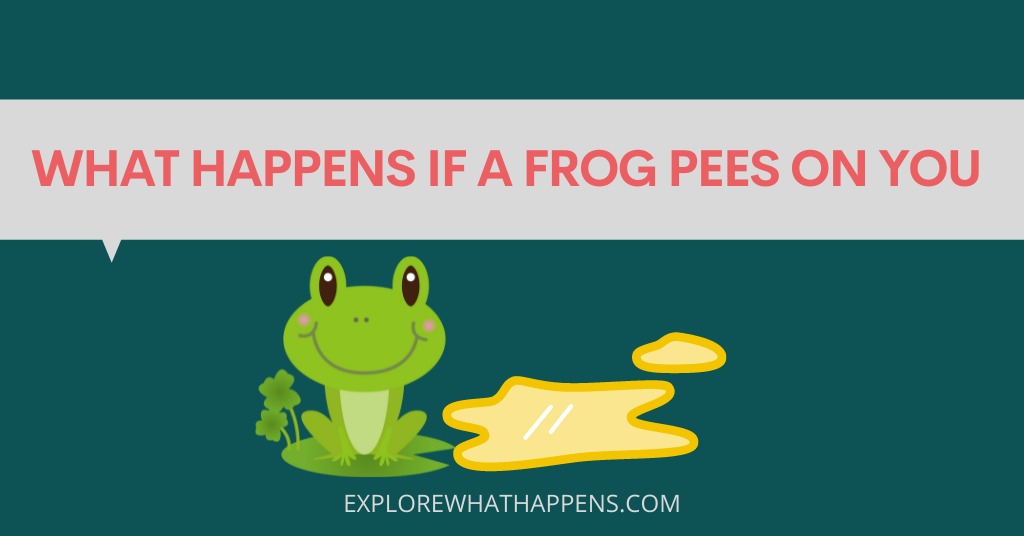 What happens if a frog pees on you 
