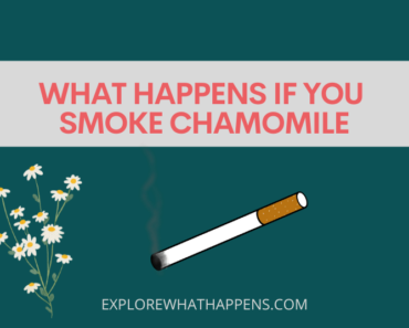 What happens if you smoke chamomile