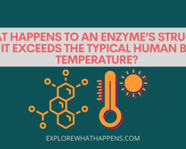 What happens to an enzyme’s structure as it exceeds the typical human body temperature?