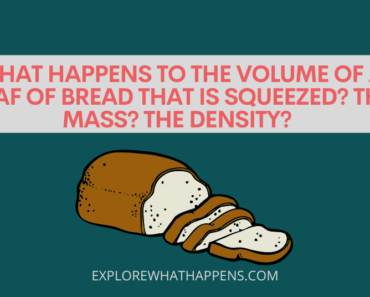 What happens to the volume of a loaf of bread that is squeezed? the mass? the density?