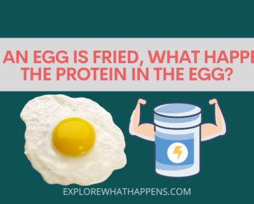 When an egg is fried, what happens to the protein in the egg?