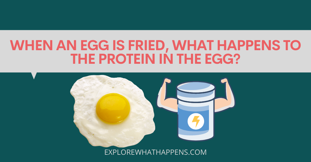 When an egg is fried, what happens to the protein in the egg?