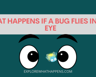 What happens if a Bug flies in your Eye?