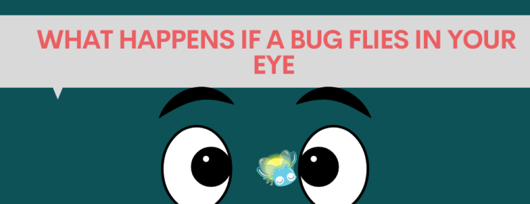 What happens if a Bug flies in your Eye?