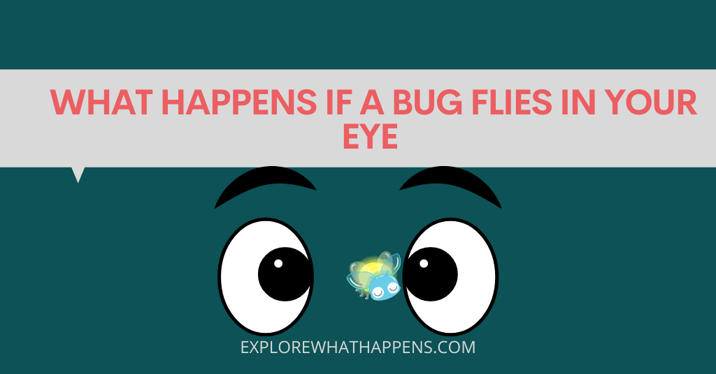 What happens if a bug flies in your eye 