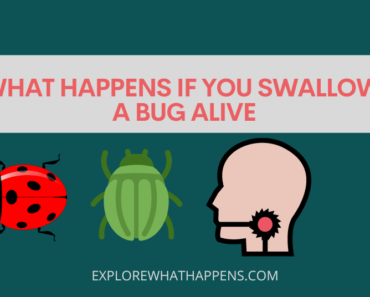 What happens if you swallow a bug alive