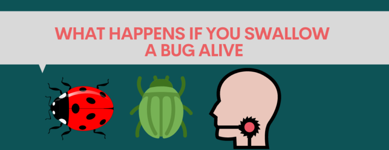 What happens if you swallow a bug alive