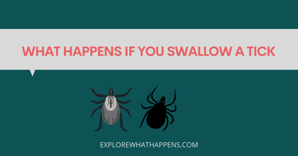 What happens if you swallow a tick
