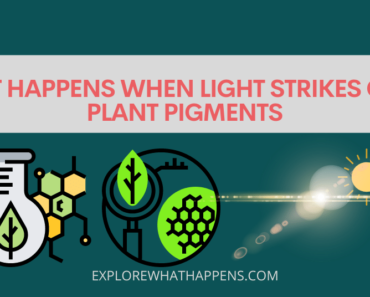 What happens when light strikes green plant pigments