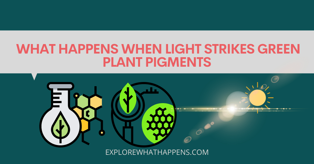 What happens when light strikes green plant pigments