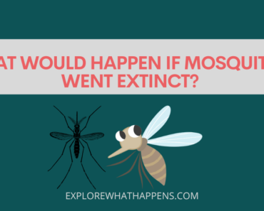 What would happen if mosquitoes went extinct?
