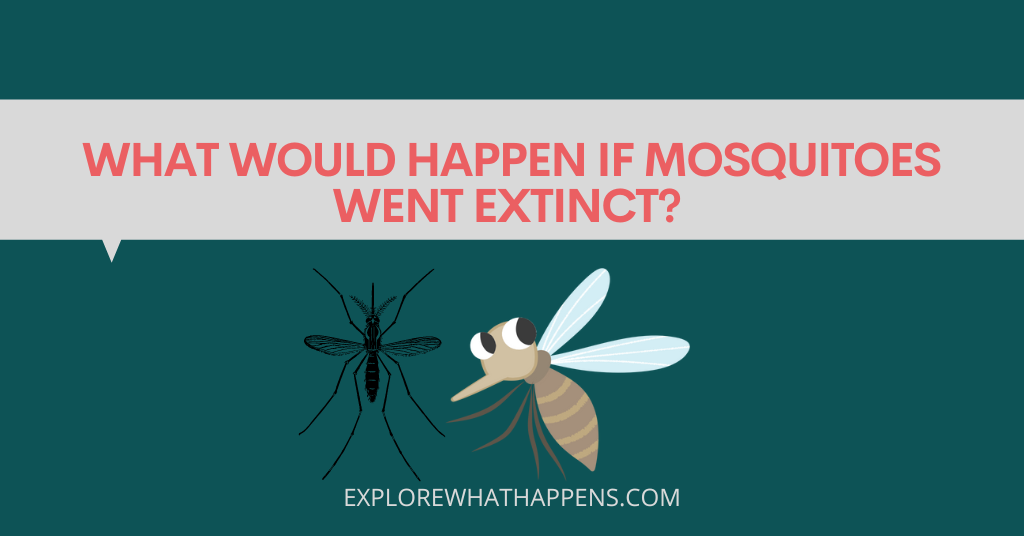 What would happen if mosquitoes went extinct?