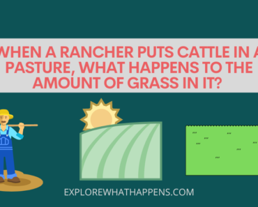 When a rancher puts cattle in a pasture, what happens to the amount of grass in it?