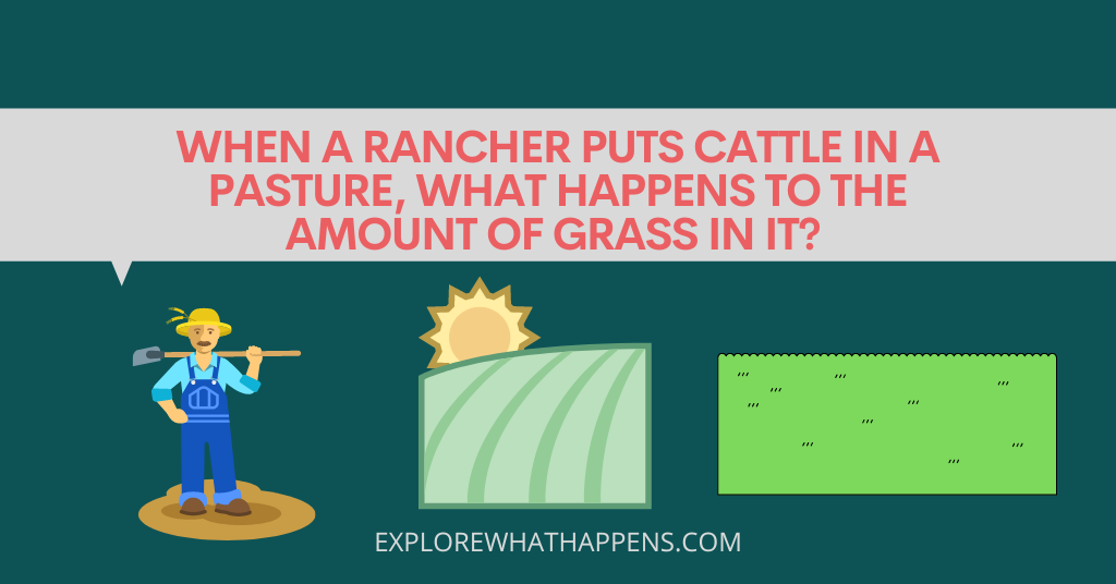 When a rancher puts cattle in a pasture, what happens to the amount of grass in it?