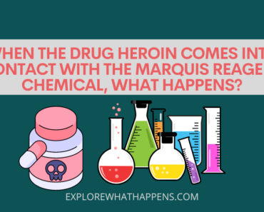 When the drug heroin comes into contact with the marquis reagent chemical, what happens?