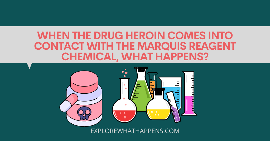 When the drug heroin comes into contact with the marquis reagent chemical, what happens?